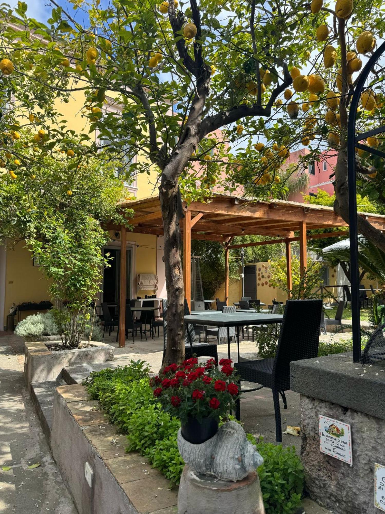Forio di Ischia Palazzo Bonaventura 1906 B&B 외부 사진
